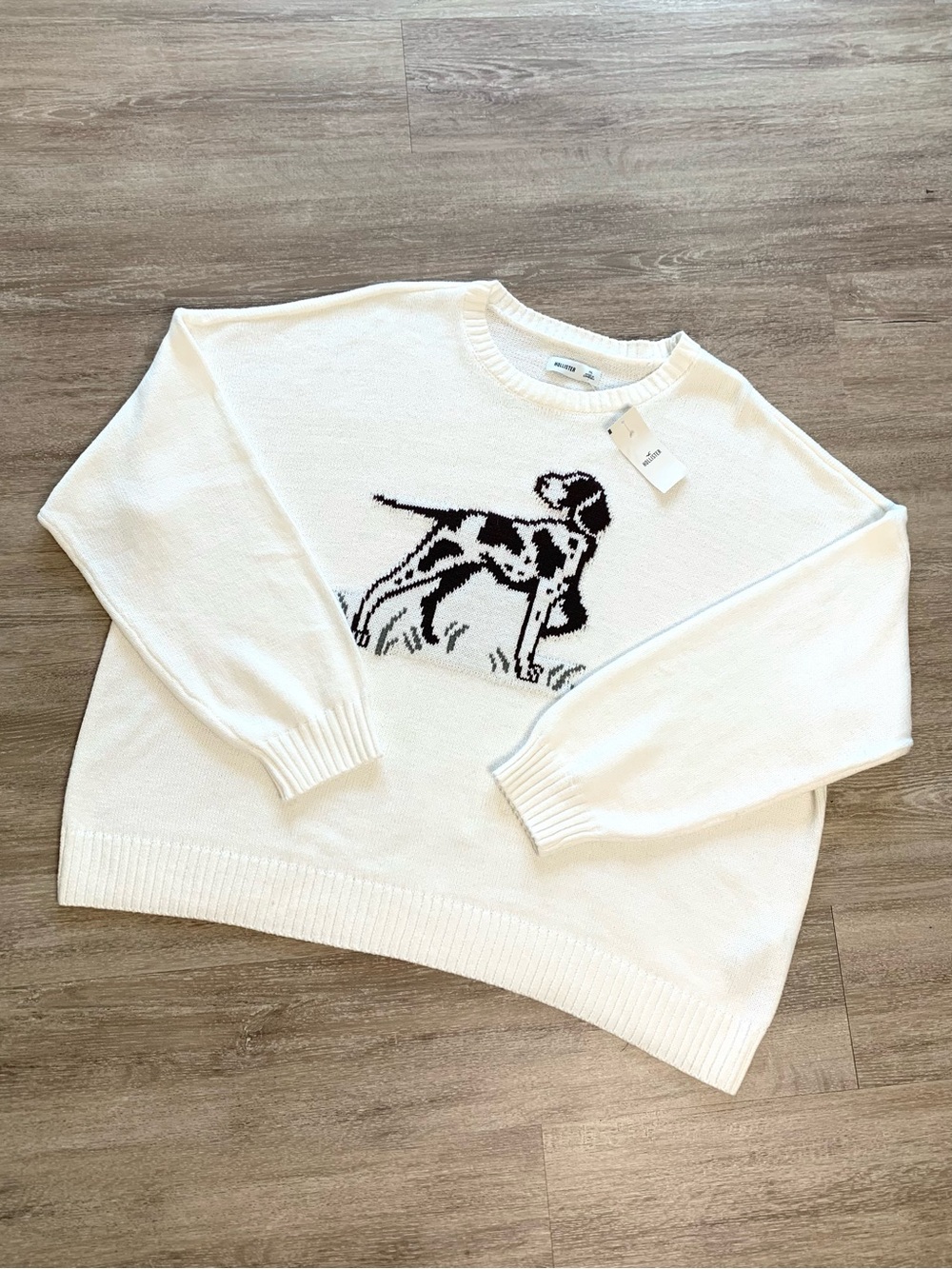 NWT Hollister Pointer Dog Graphic Sweater XL White Cotton Knit Preppy